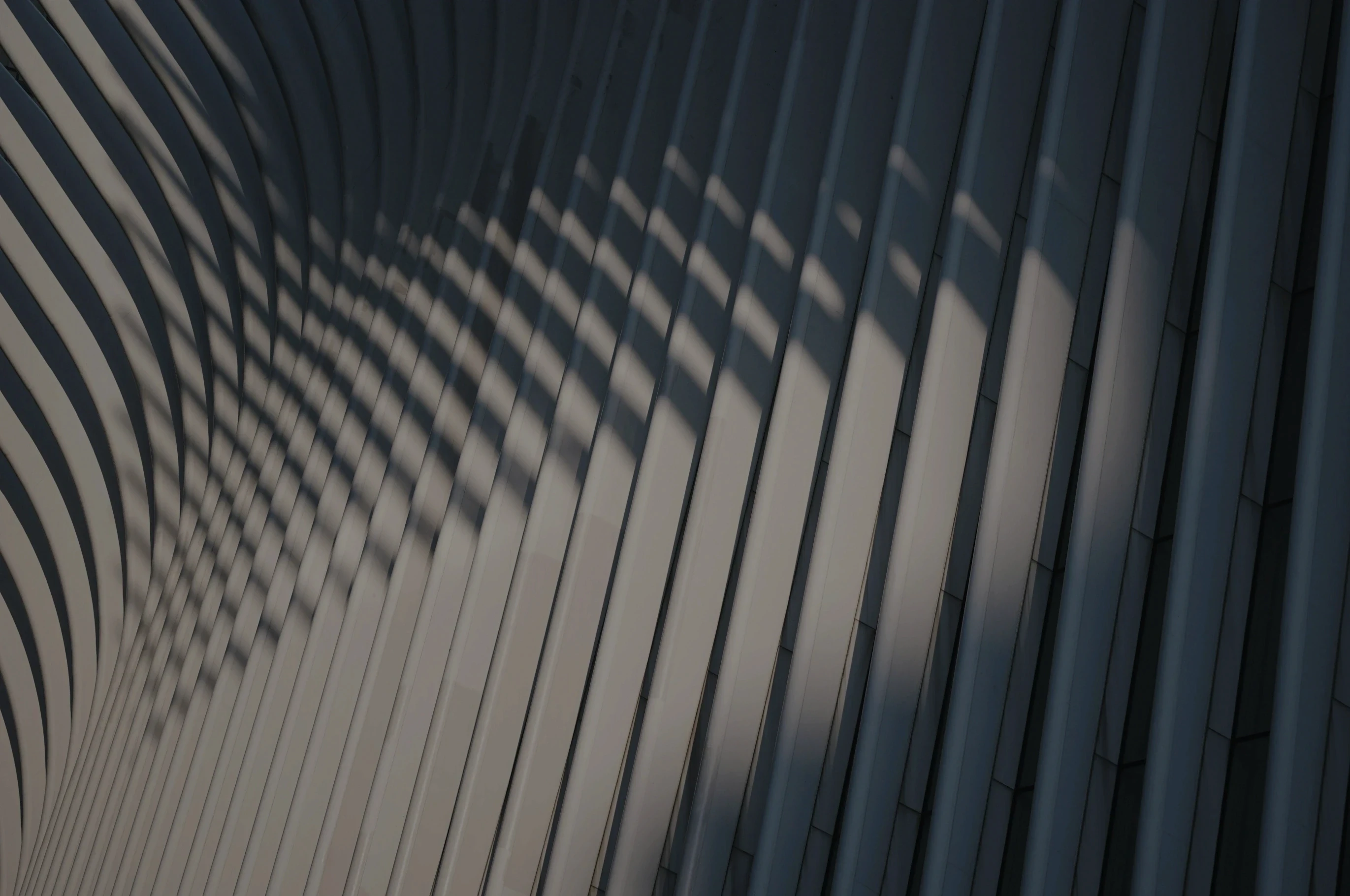 Abstract architectural pattern with curved white ribs and diagonal shadows