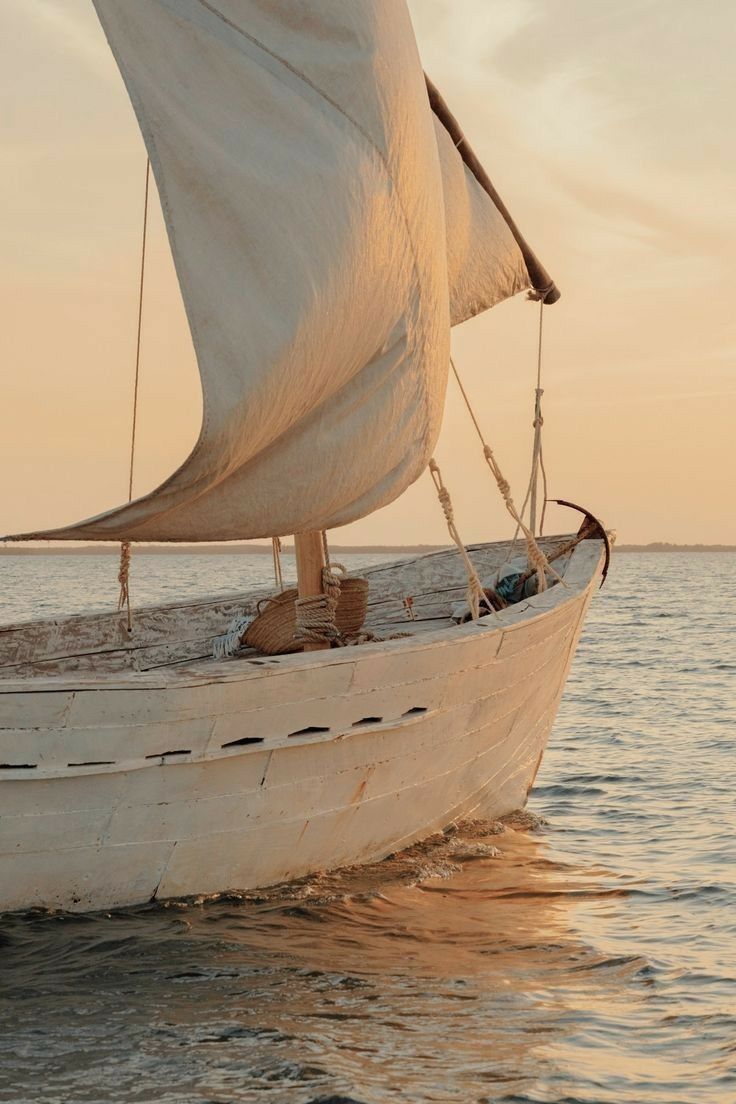 Two people talking on a walk