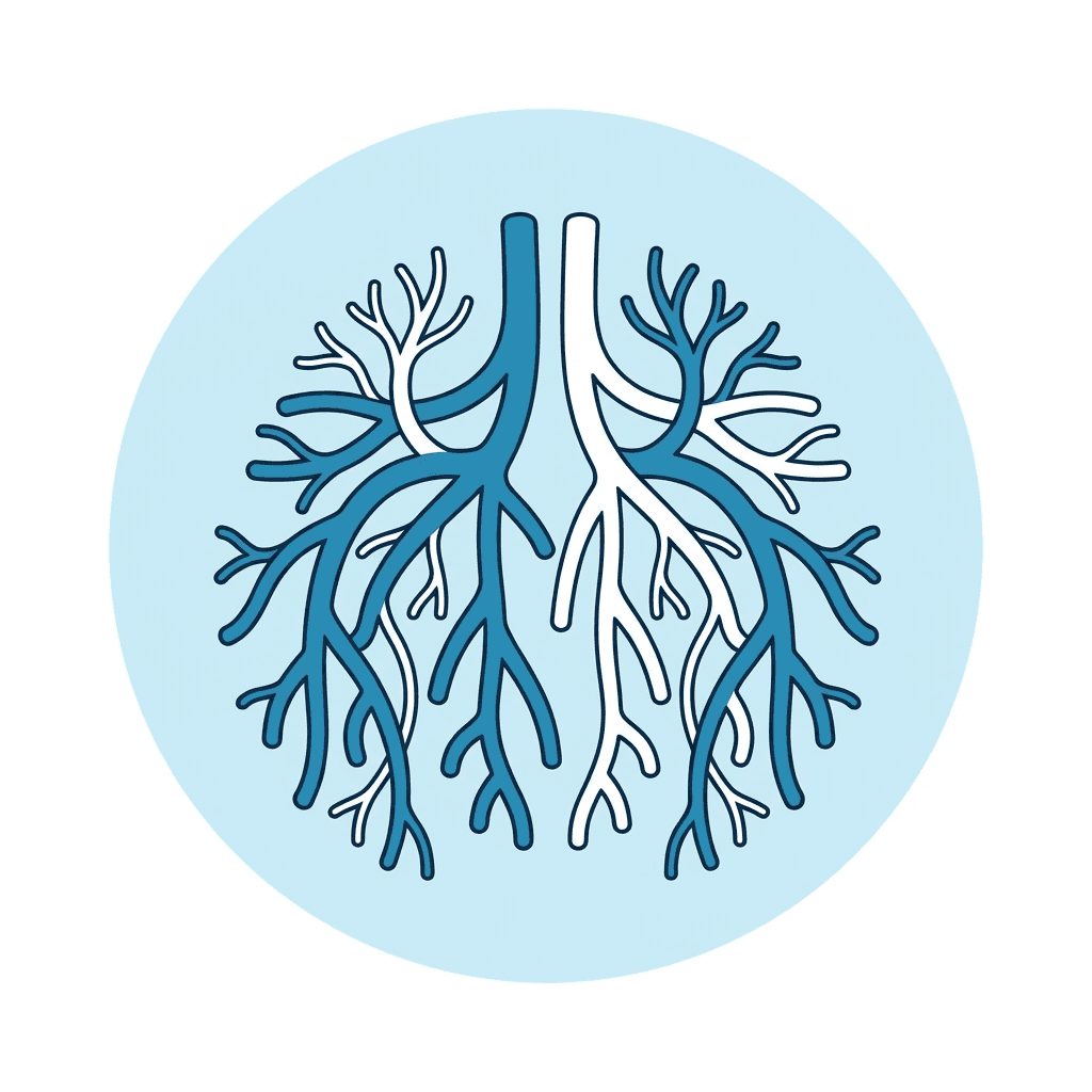 Médecin vasculaire - Speedoctor