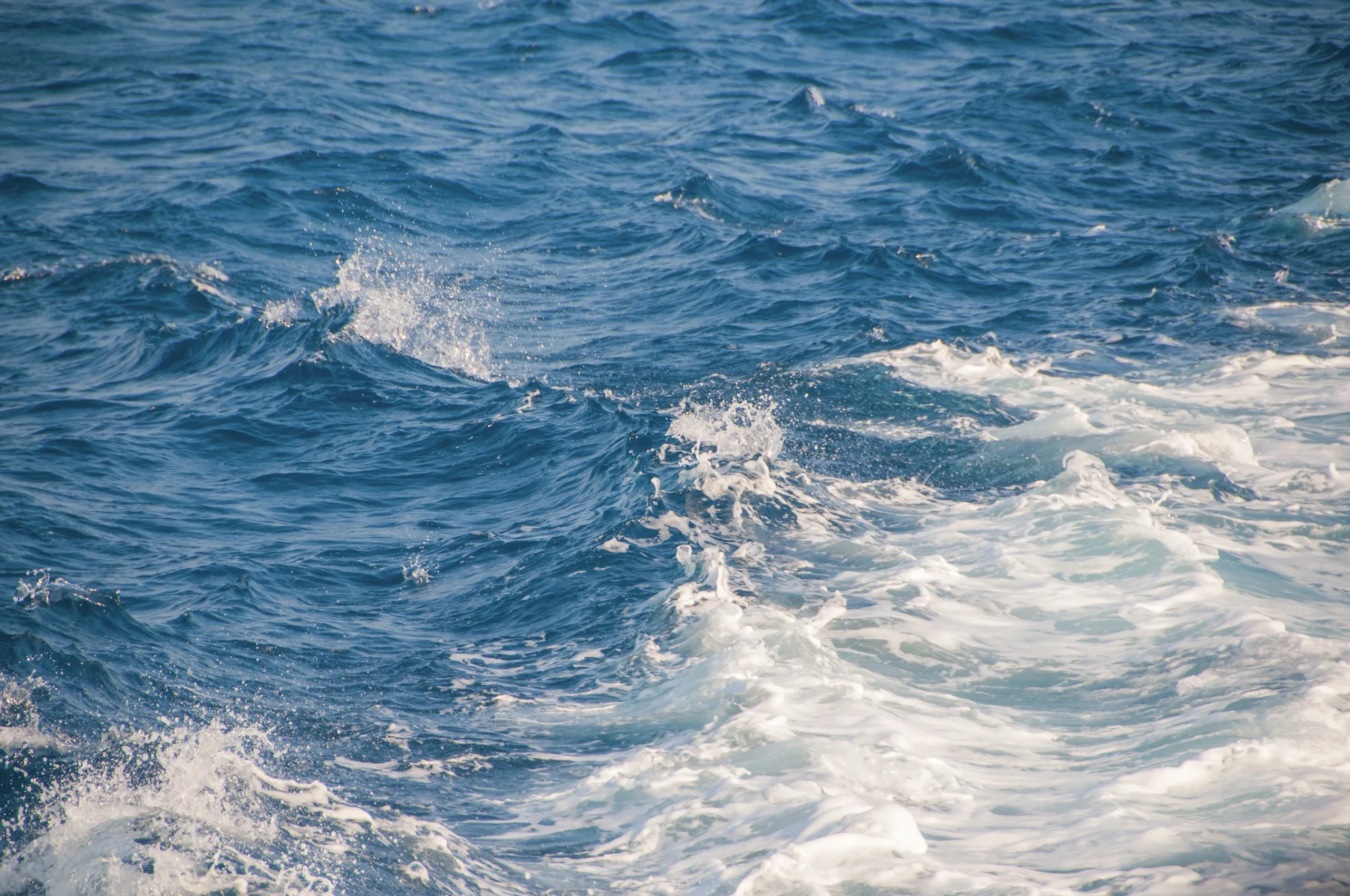 Swell Delays Port Risk — hero image