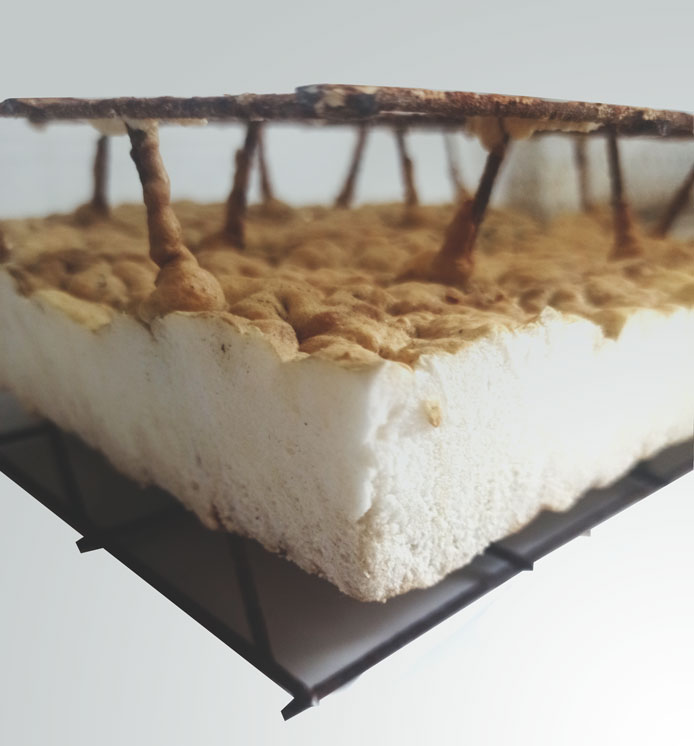 Panel Poliuretano 7,5 cm