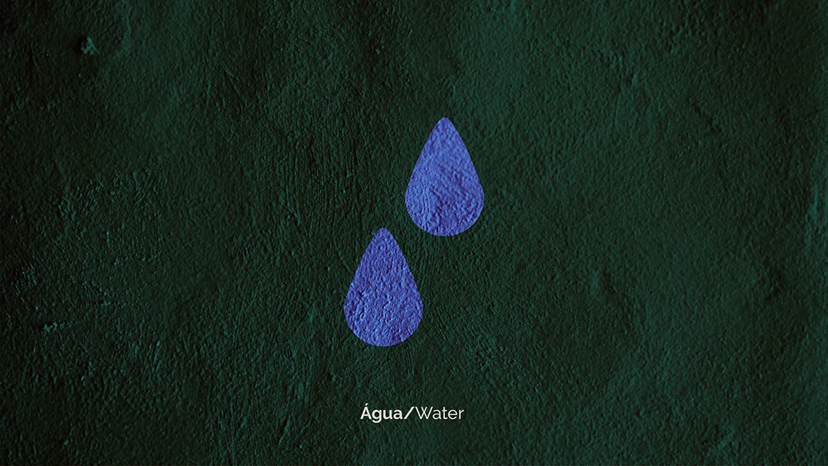 Provida rebrand key visual ecosystem water element