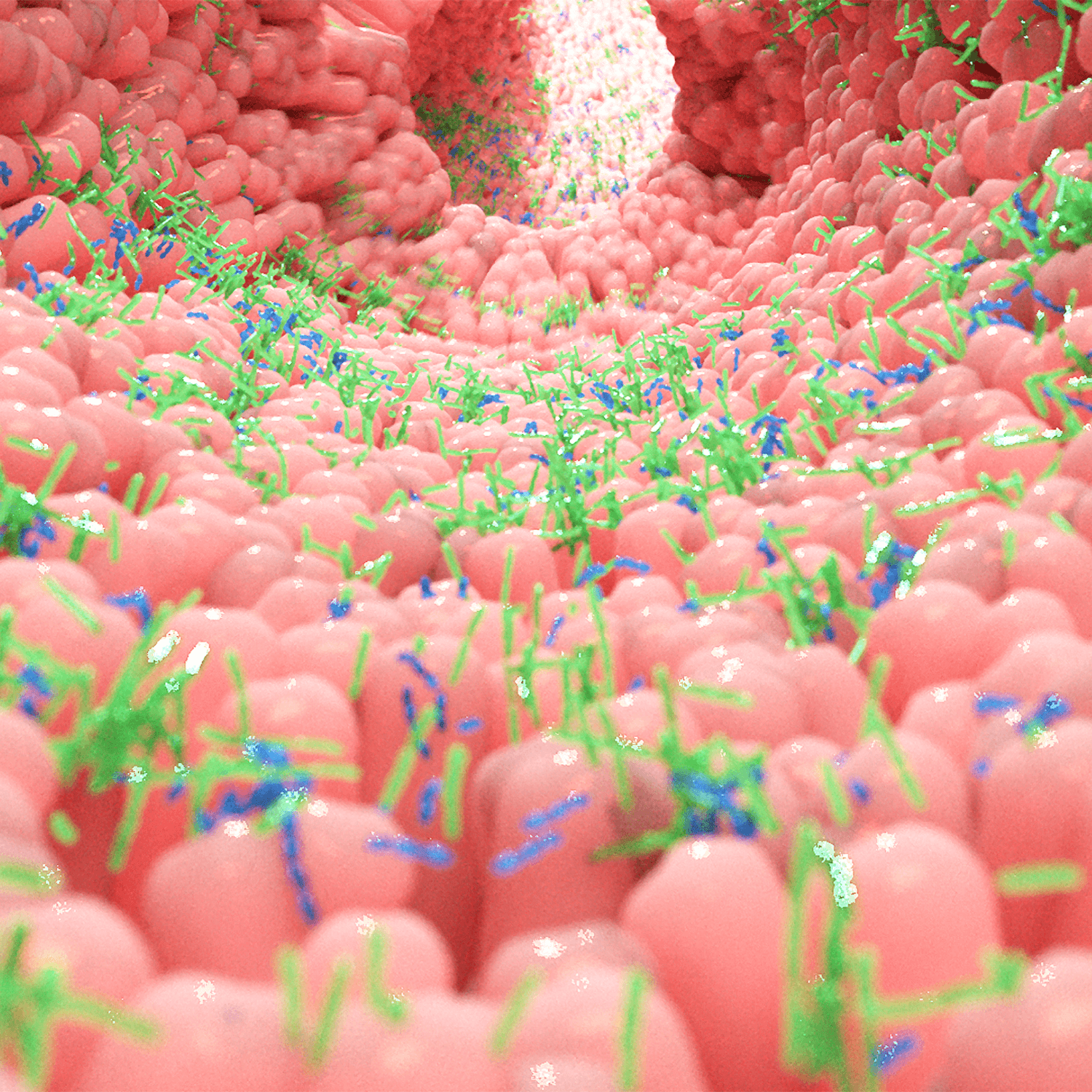 Gut Health