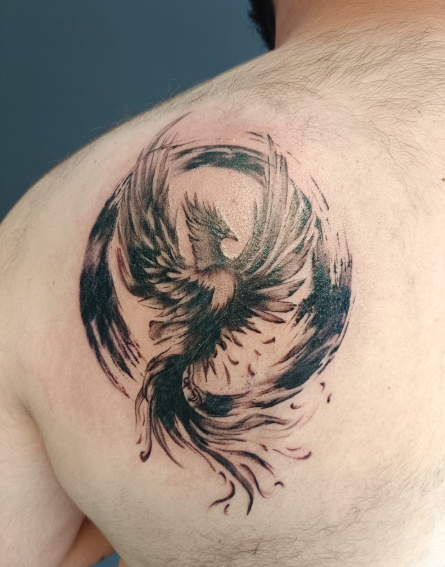 oiseau sur le dos d'un homme forme arrondie
