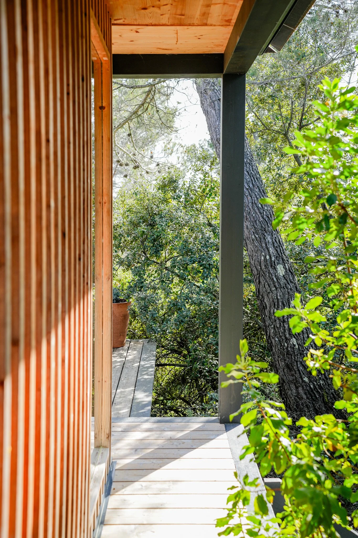Balcon en bois de l'écolodge Monte Verdi avec vue plongeante sur la forêt