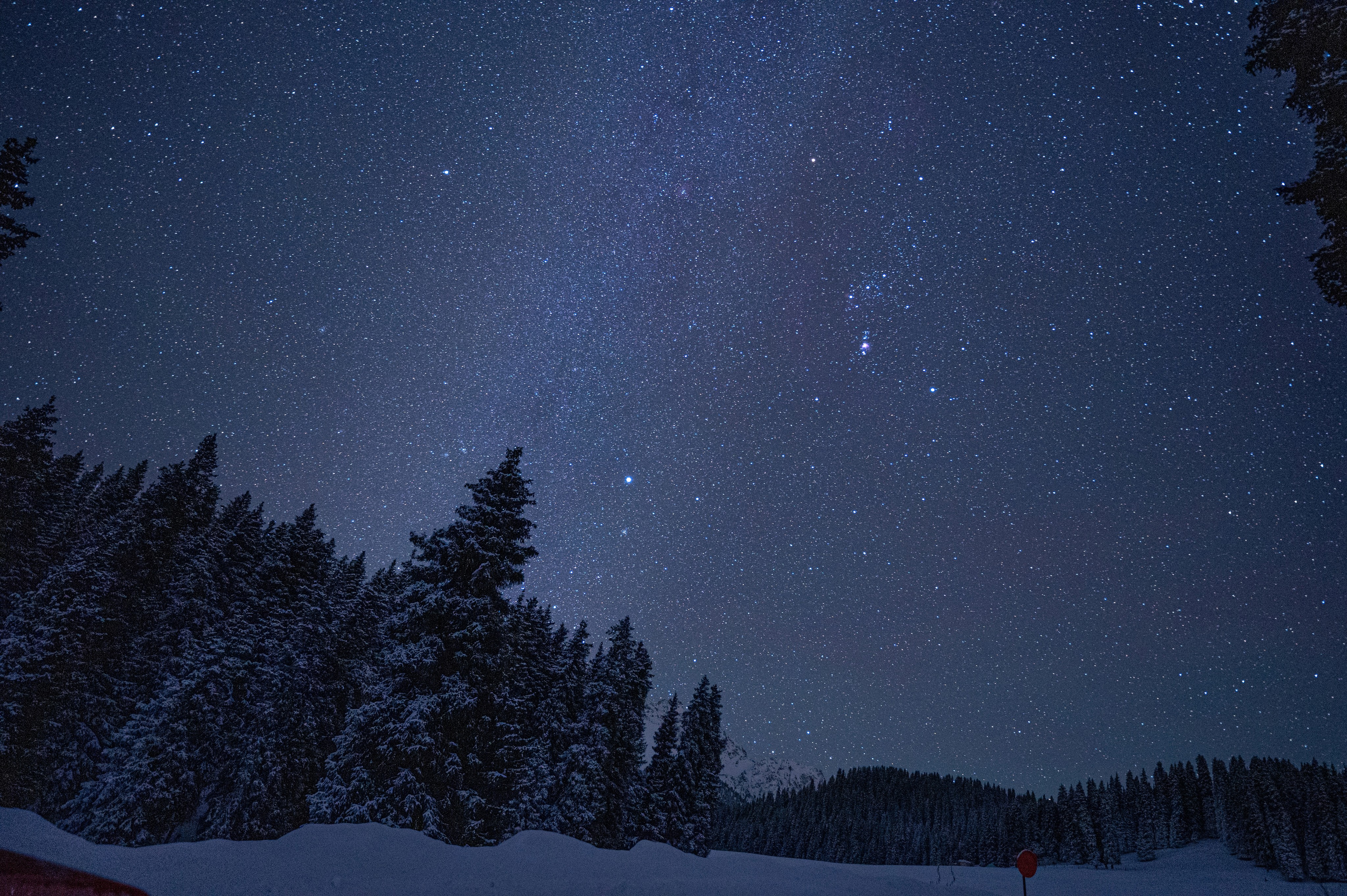 Standing in the snow under a night sky of stars