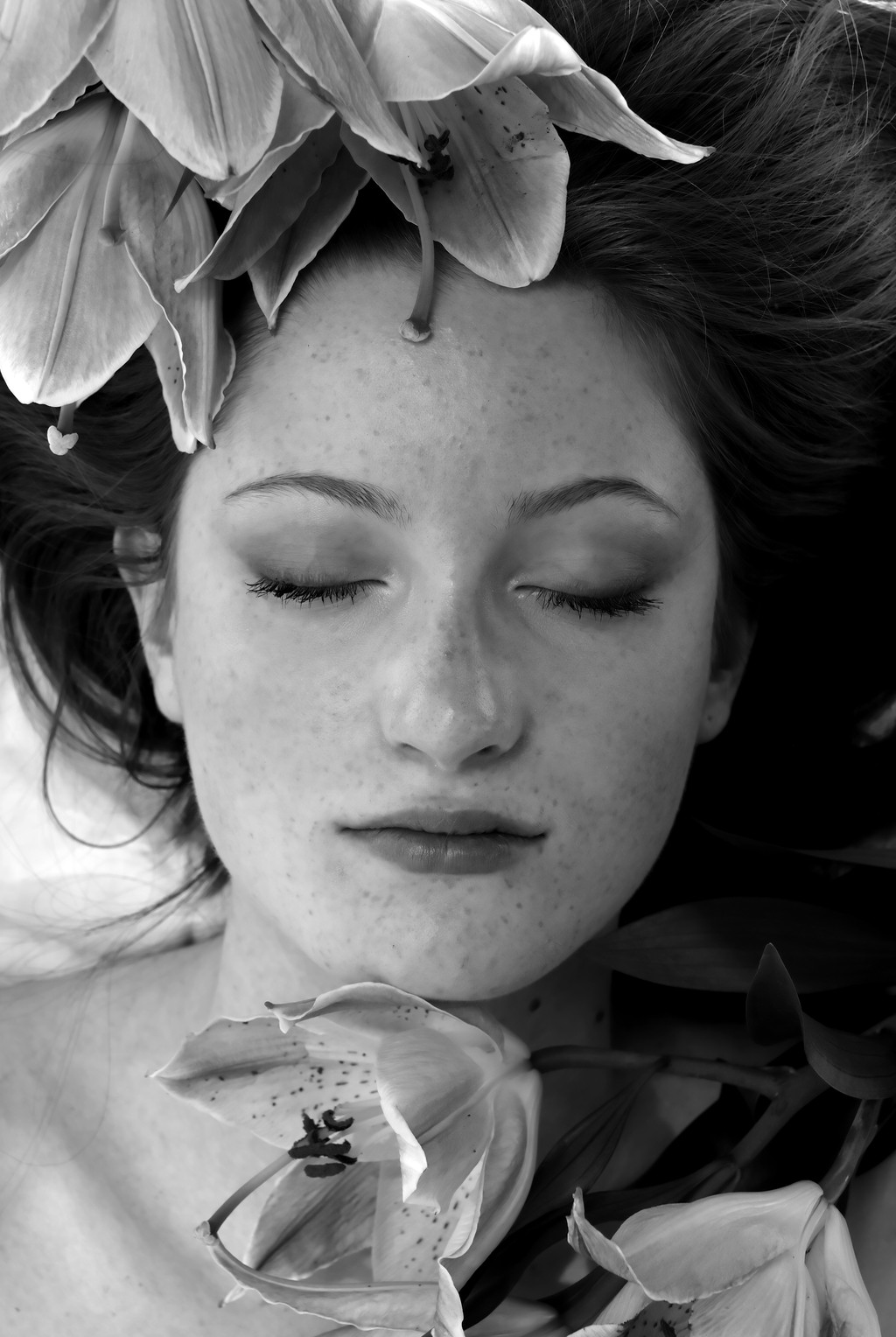 fleurslysblancromantiquenoirblanc