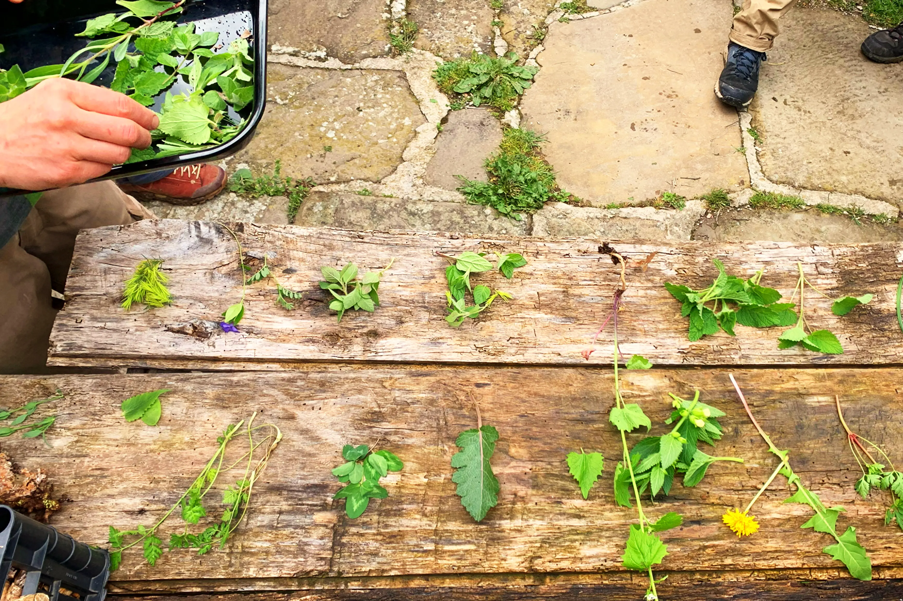 Andrea Modesti, istruttore di survival e bushcraft, esperto in campi avventura per ragazzi e corsi di sopravvivenza outdoor