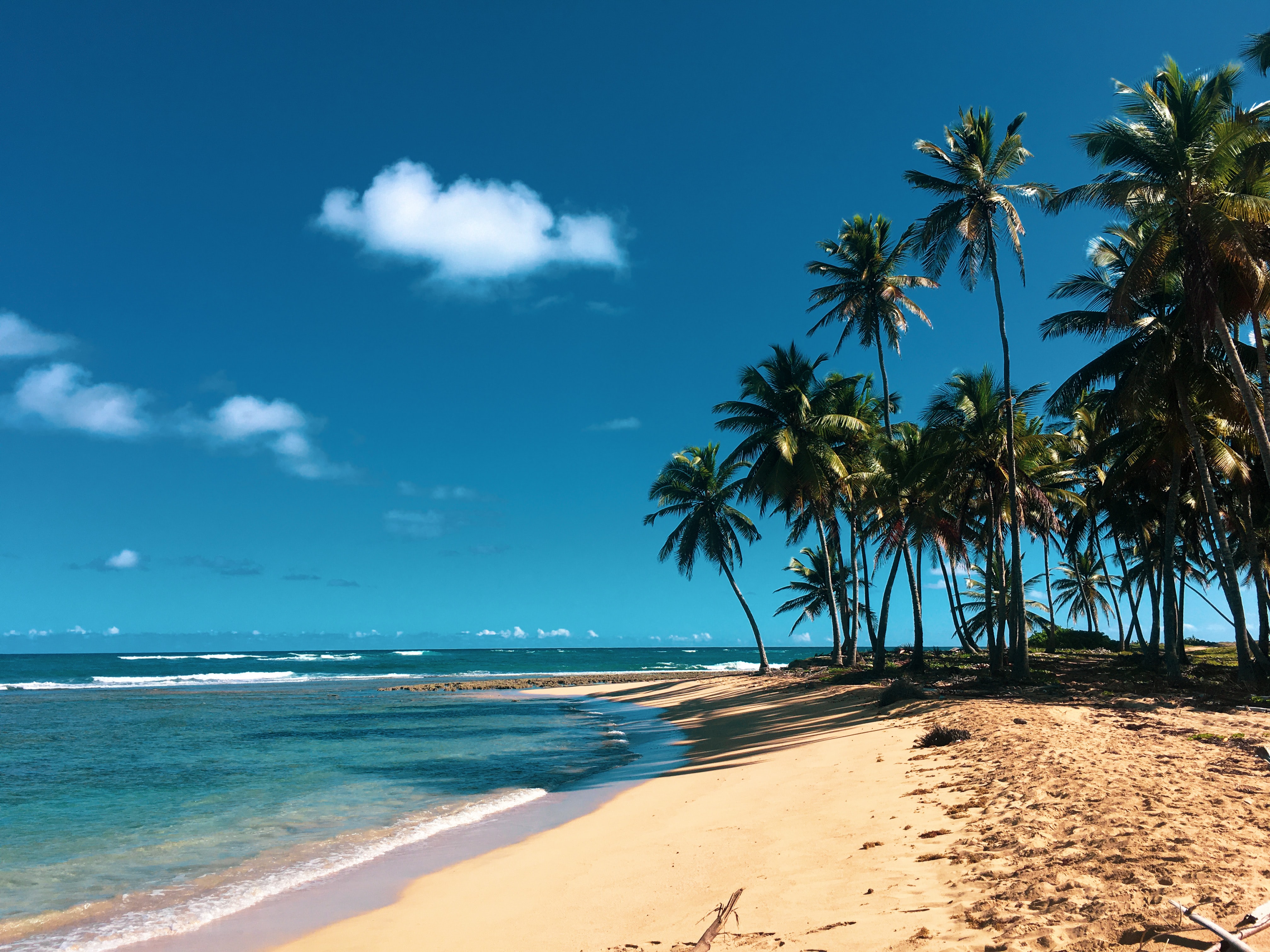 Babymoon in Dominican Republic