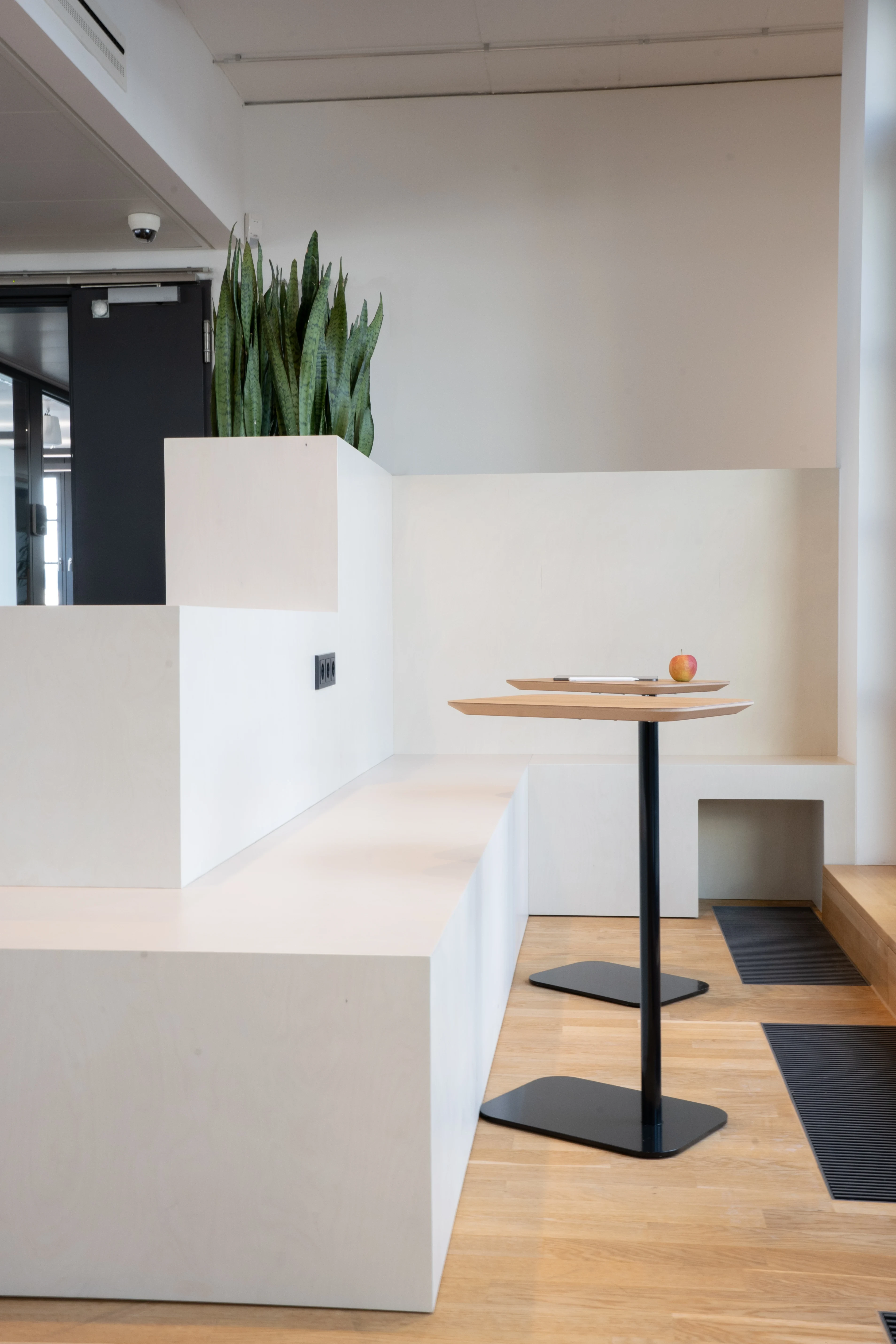 Stepped white seating landscape at AI START-UP MUNICH with built-in planters of snake plants, a wooden high table with black base and a wooden stair section with black mats.