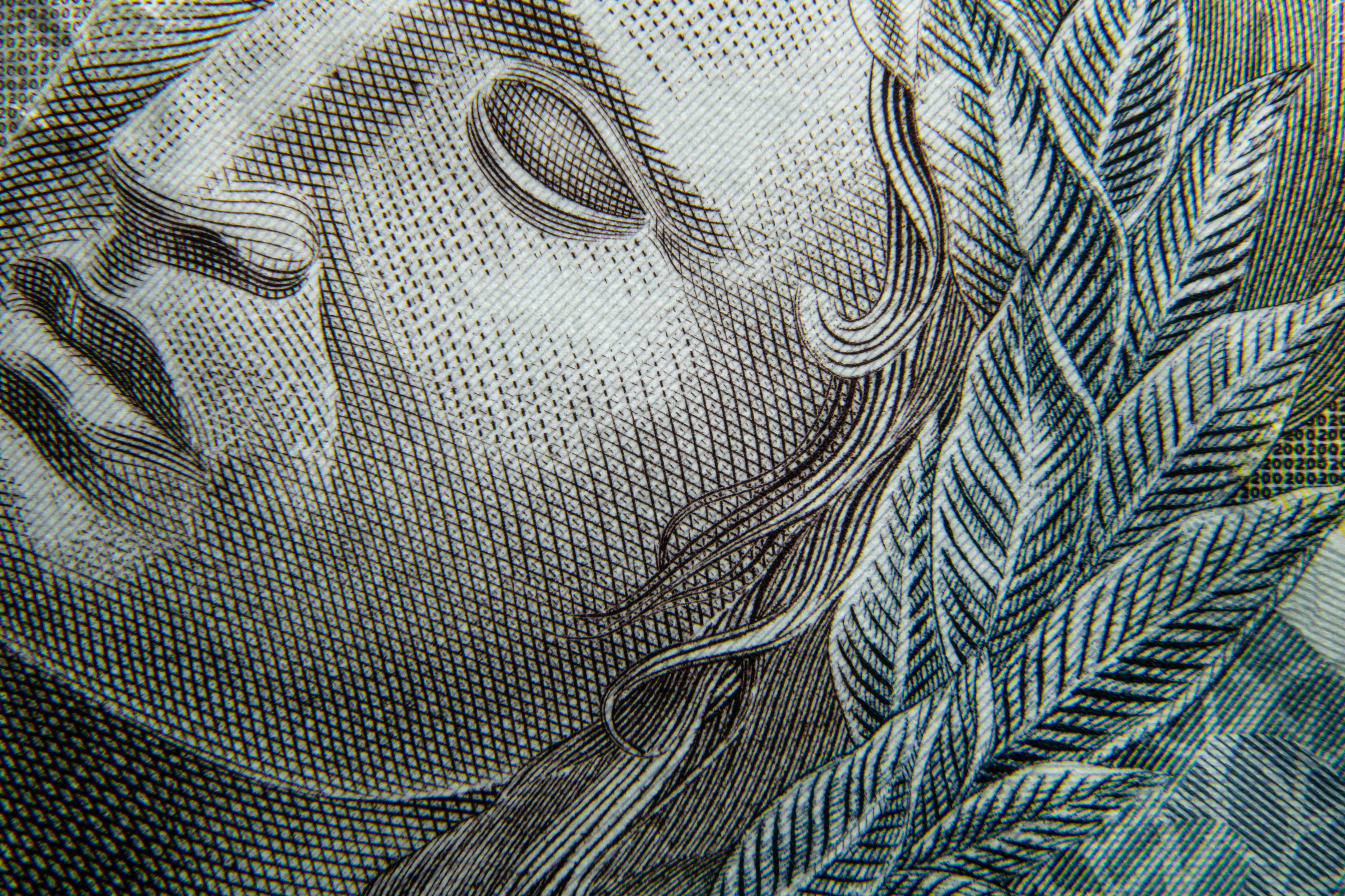 Stablecoin Projects ZAR, Tesser and Loon Raise Funds. Photo By Ian Talmacs On Unsplash.