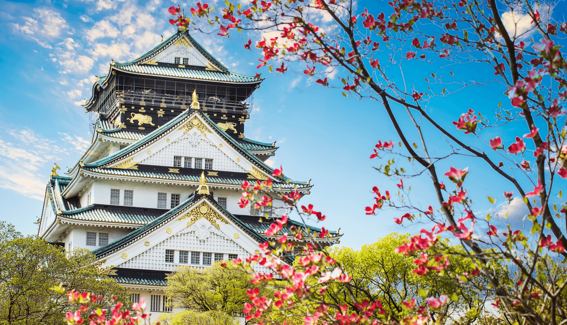 Real Estate Property image 1