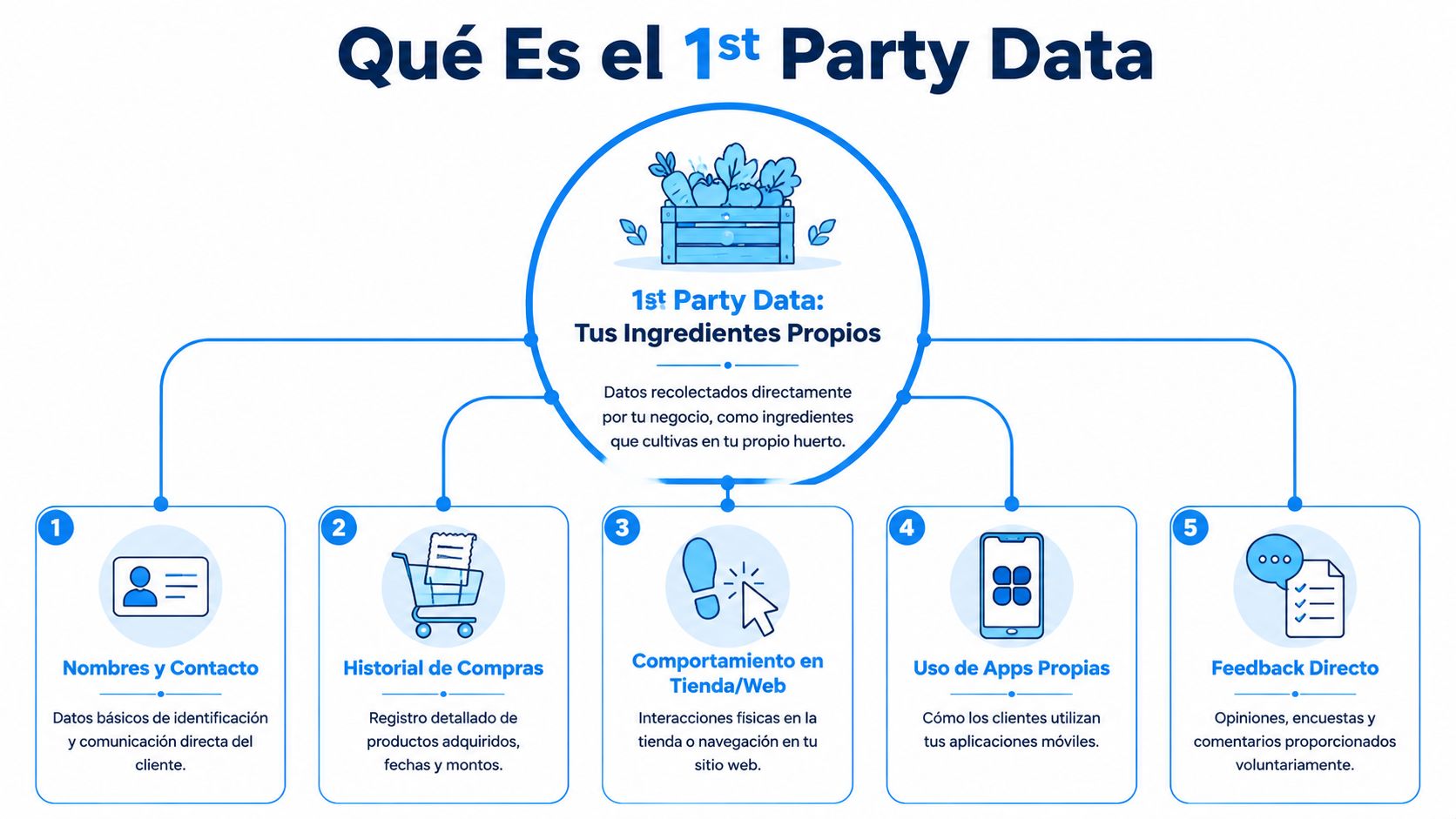 Infografía sobre qué es el 1st party data representado como ingredientes propios recolectados directamente por tu negocio.