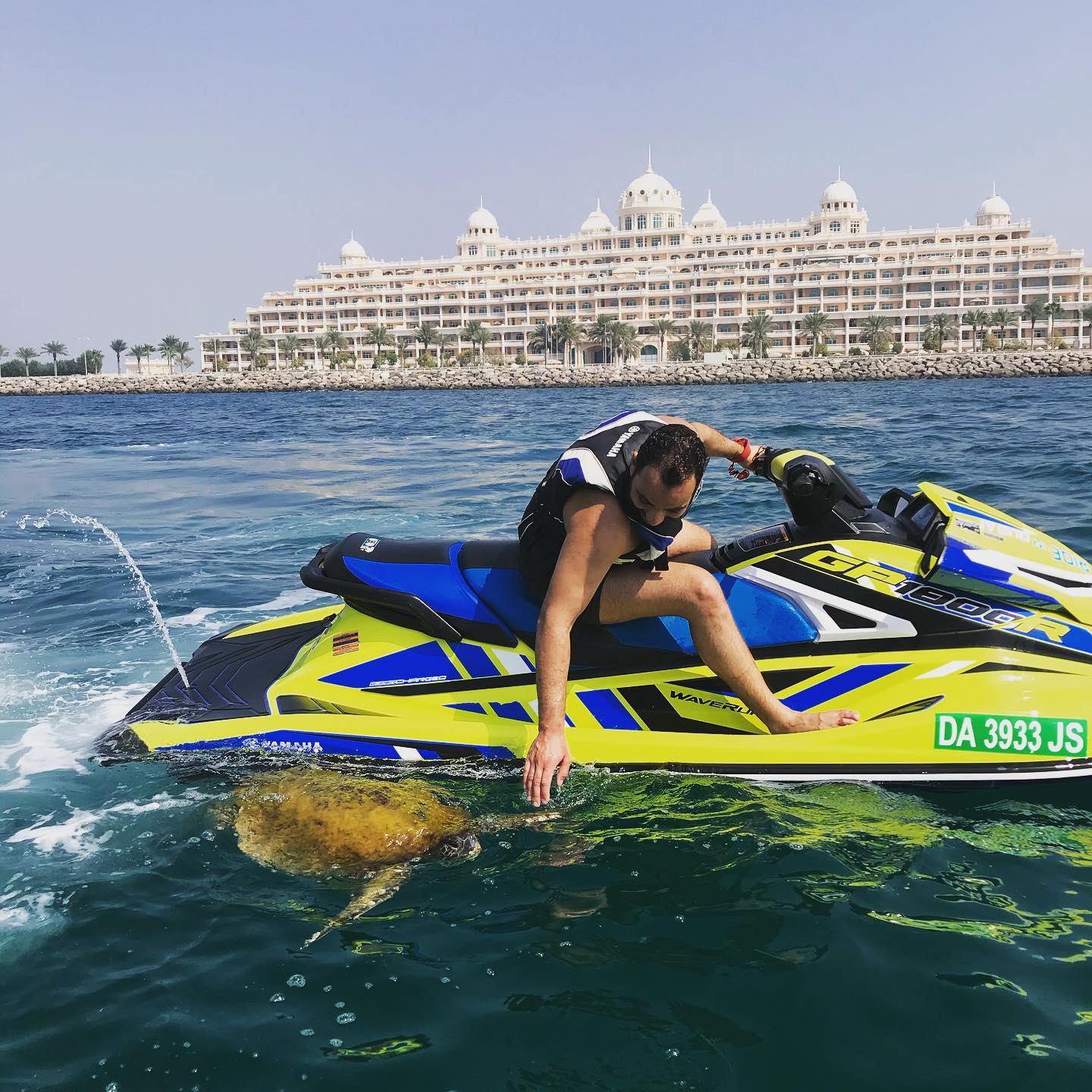 A tourist stopping to  pet a sea turtle during a jet ski ride in Dubai 