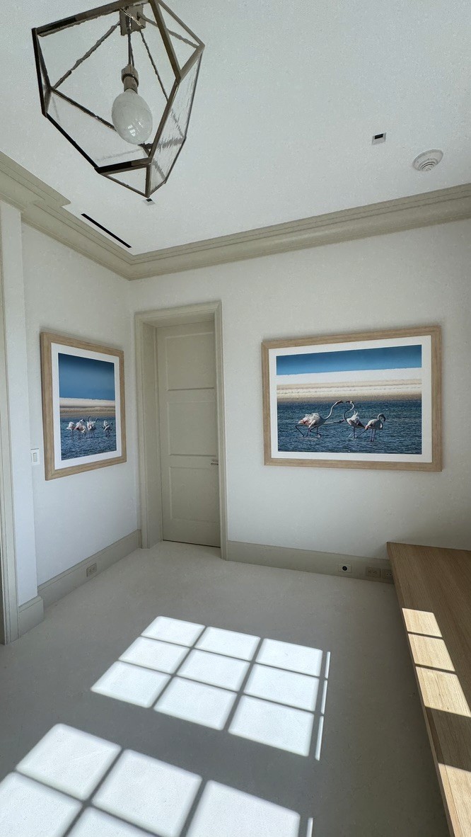 Two framed flamingo photographs in a hallway beneath a geometric glass pendant light