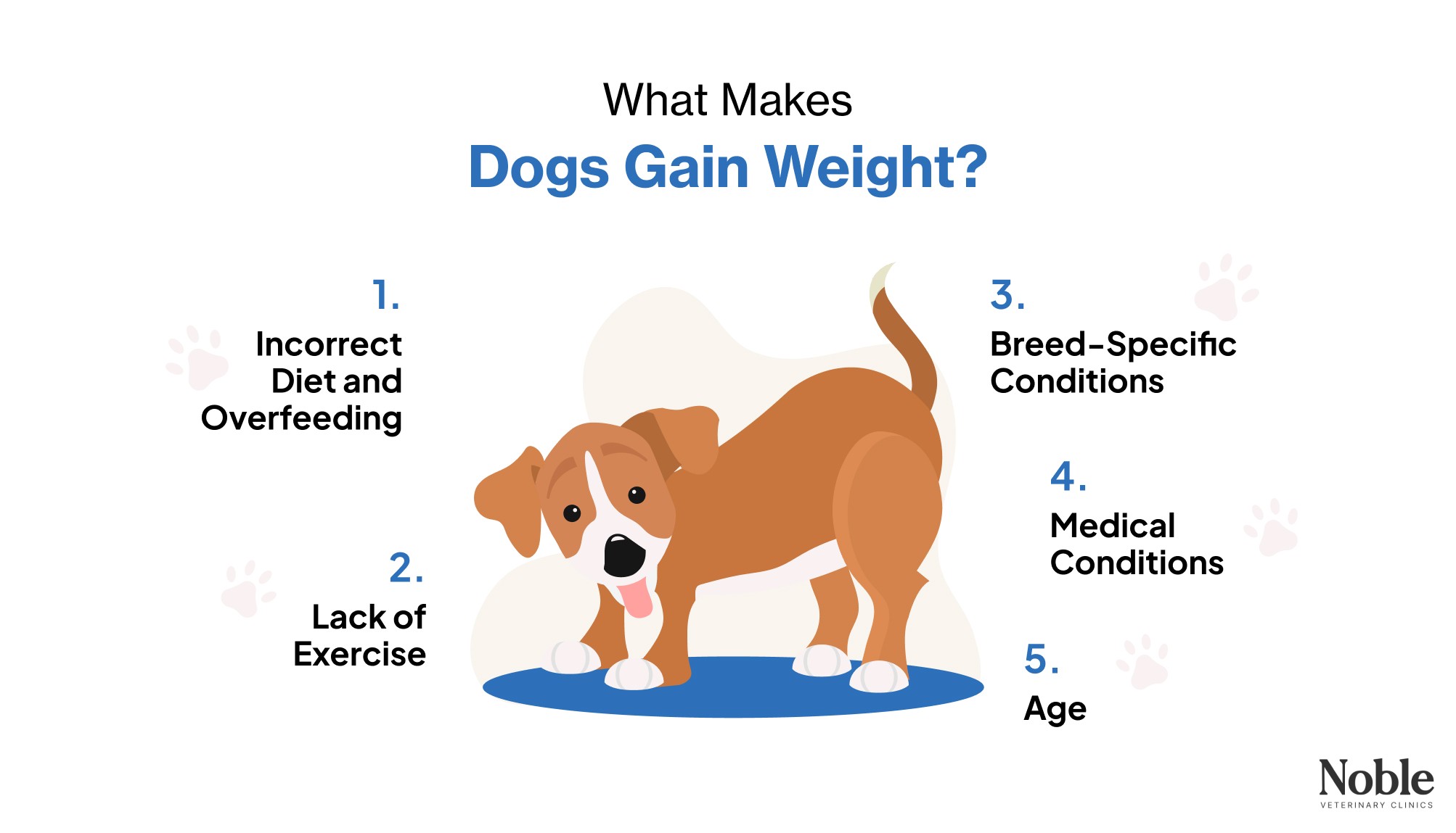An infographic showing the reasons why dogs gain weight.