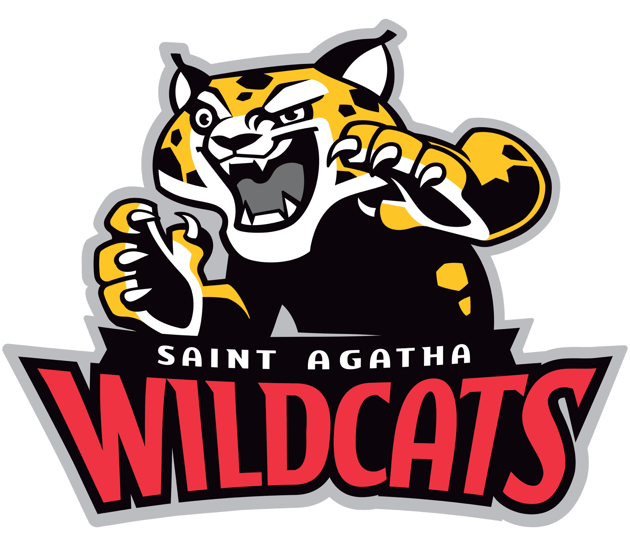 A TeamLinkt Sports League Partner Logo