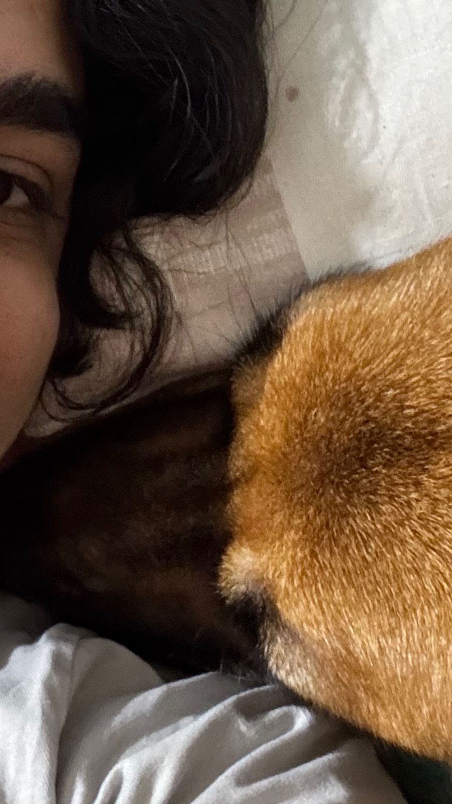 Una persona con una camiseta negra y pantalones de color claro está de pie en la cima rocosa de una montaña al atardecer, sosteniendo una cámara frente a su cara para tomar una foto. Un mar de nubes se extiende detrás de ellos, iluminado por la luz dorada del sol poniente.