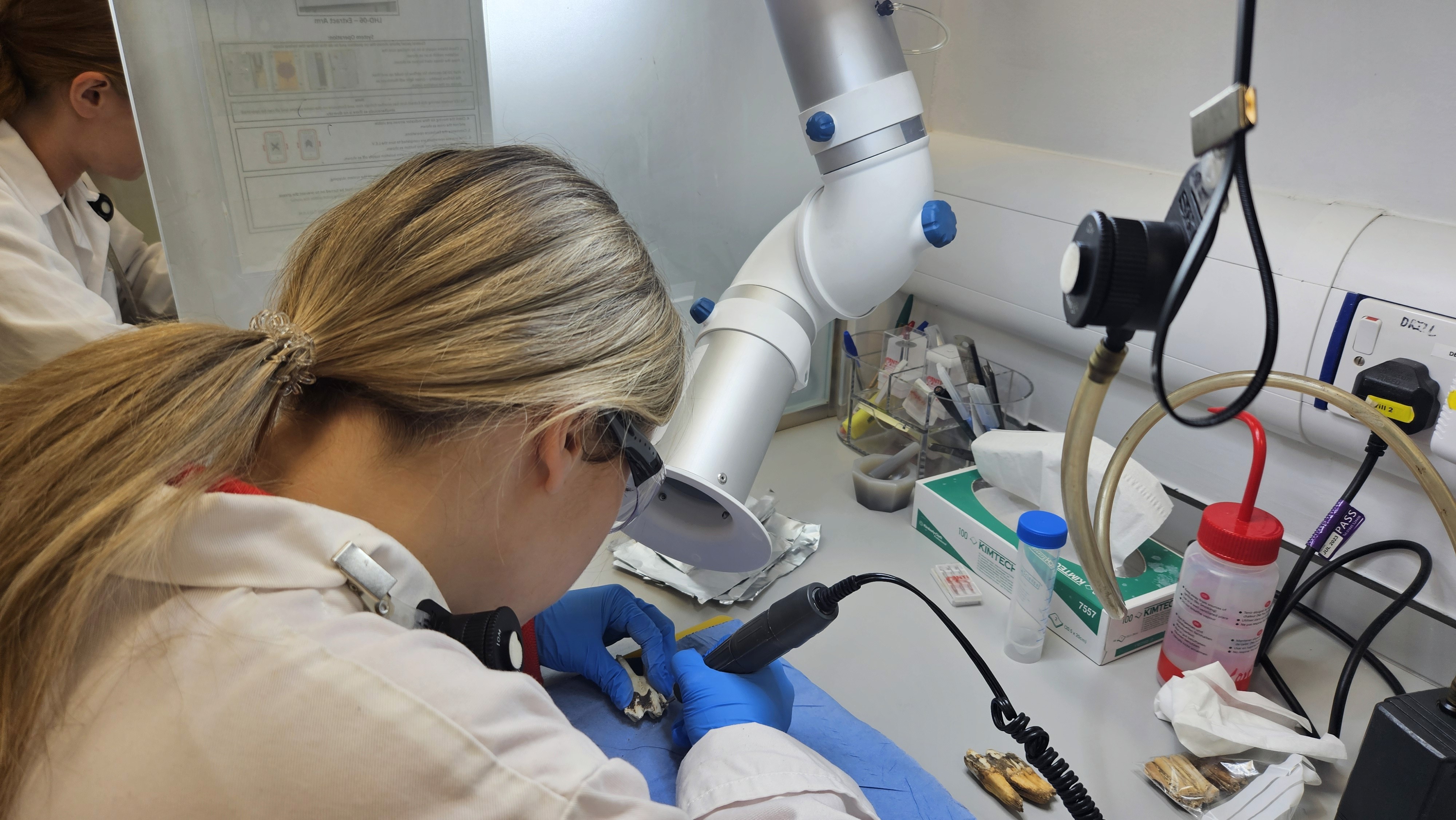 specialist facilities