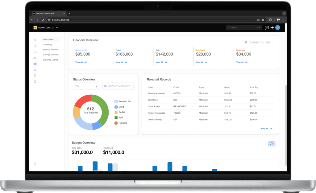 Revenue overview software.