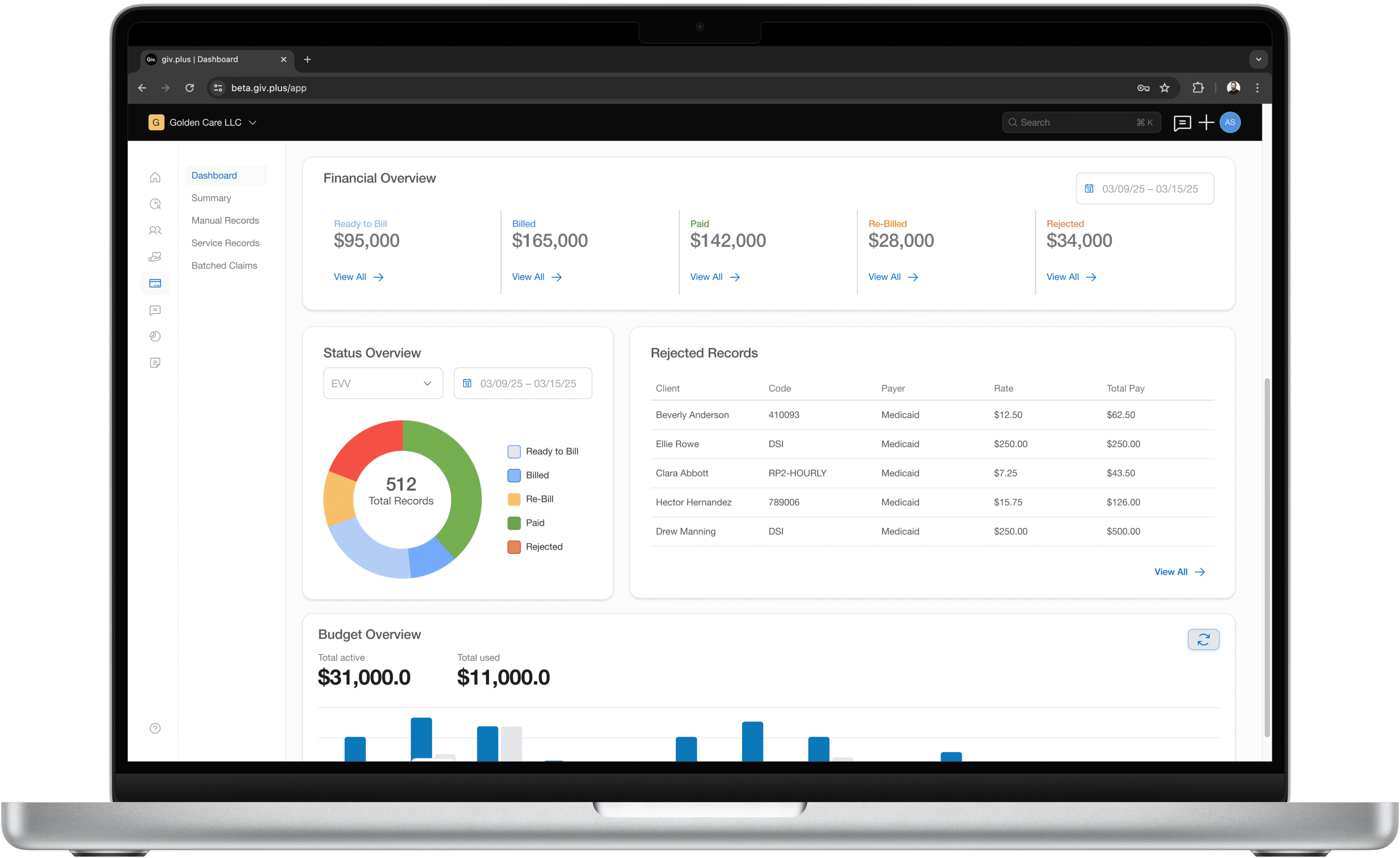 Revenue overview software.