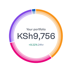 portfolio-ring-breakdown