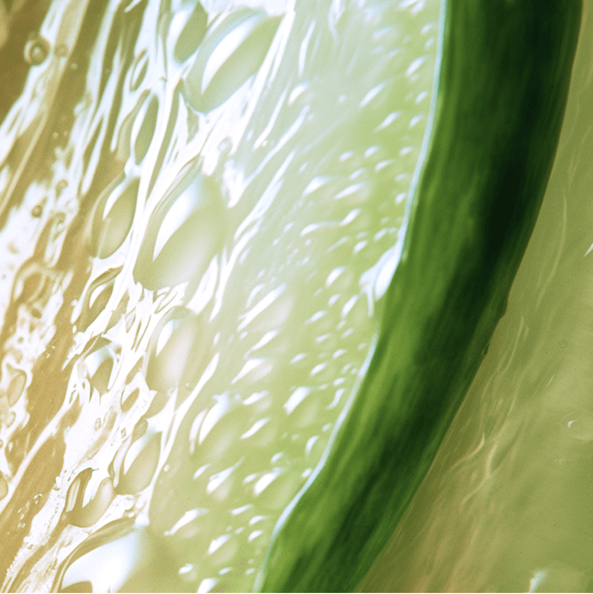  Landing page Horée cosmétiques