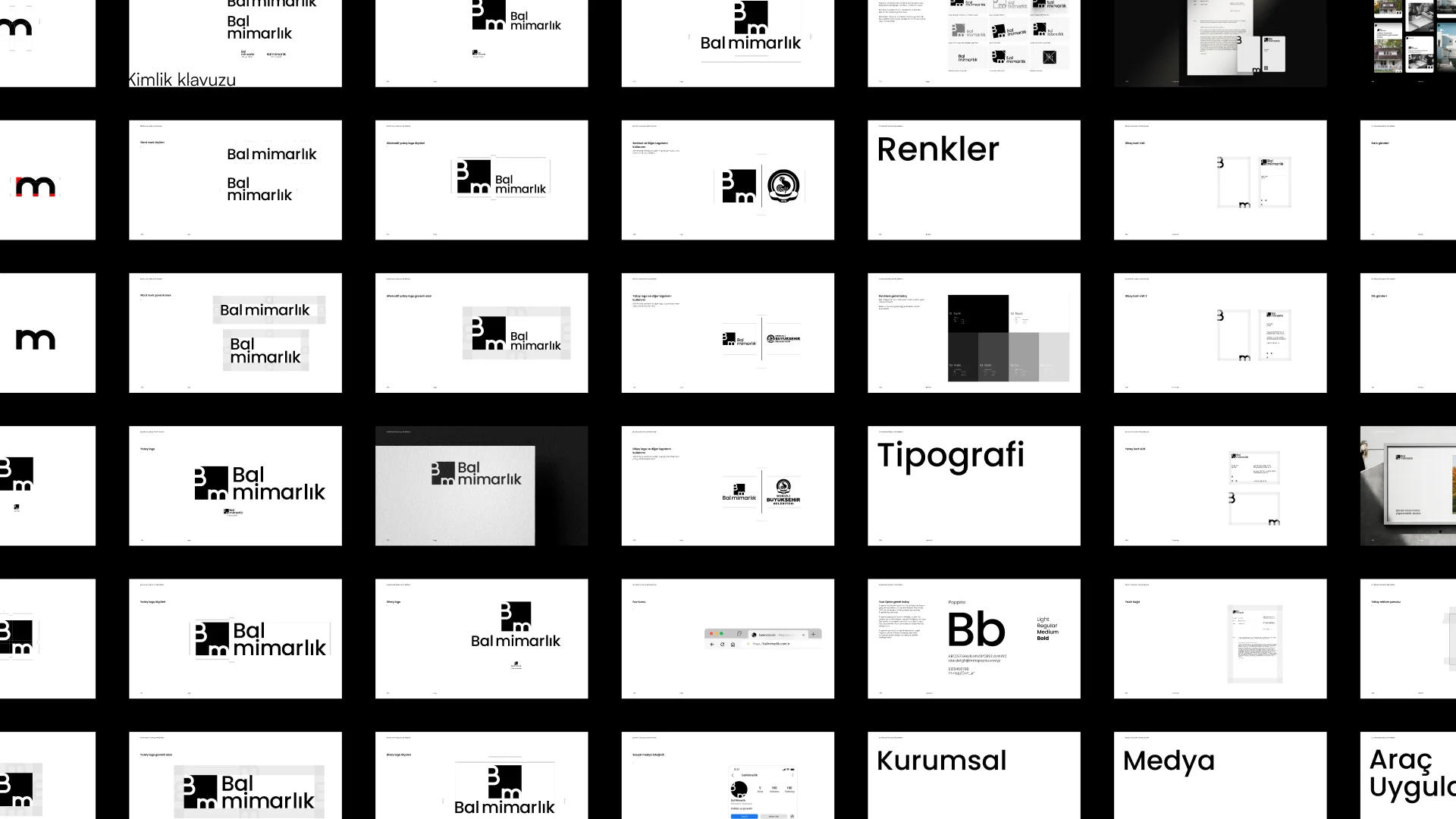 Brand guidelines showcase