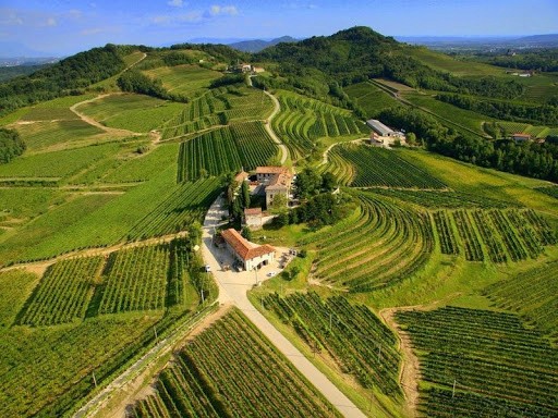 tenuta 1