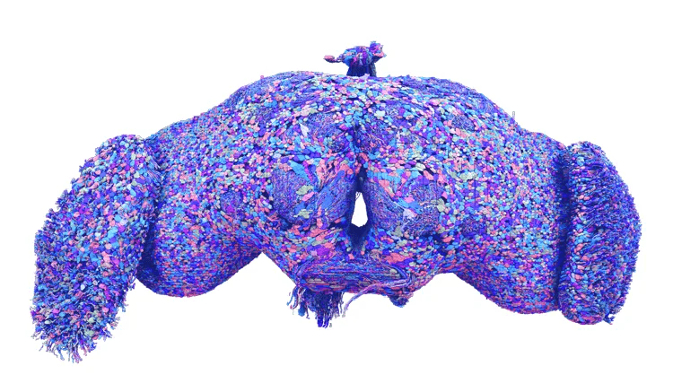 Complete 3D rendering of all neurons in the adult fruit fly brain connectome from the FlyWire project