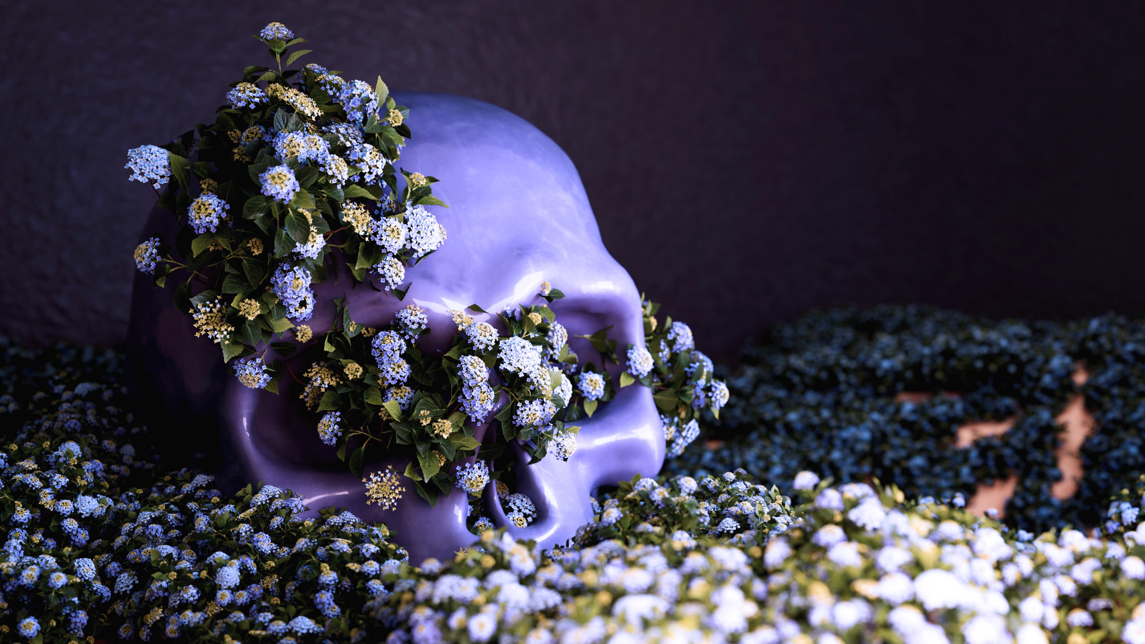 Premium UX Template for Framer