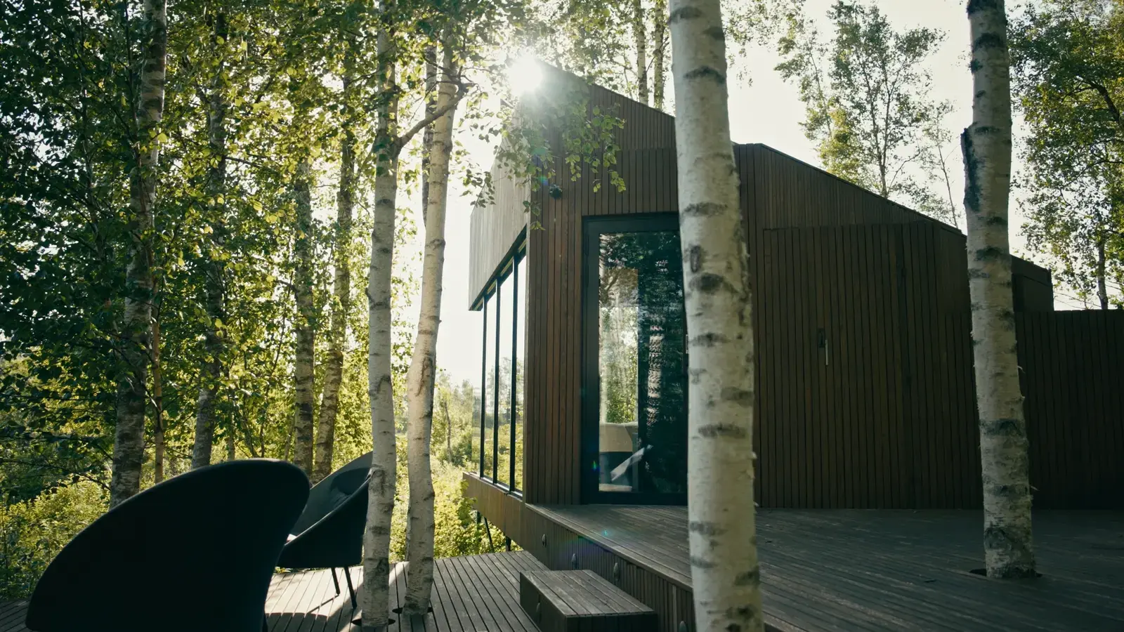 Villa Kaseke exterior seen through birch trees with sunlight streaming through