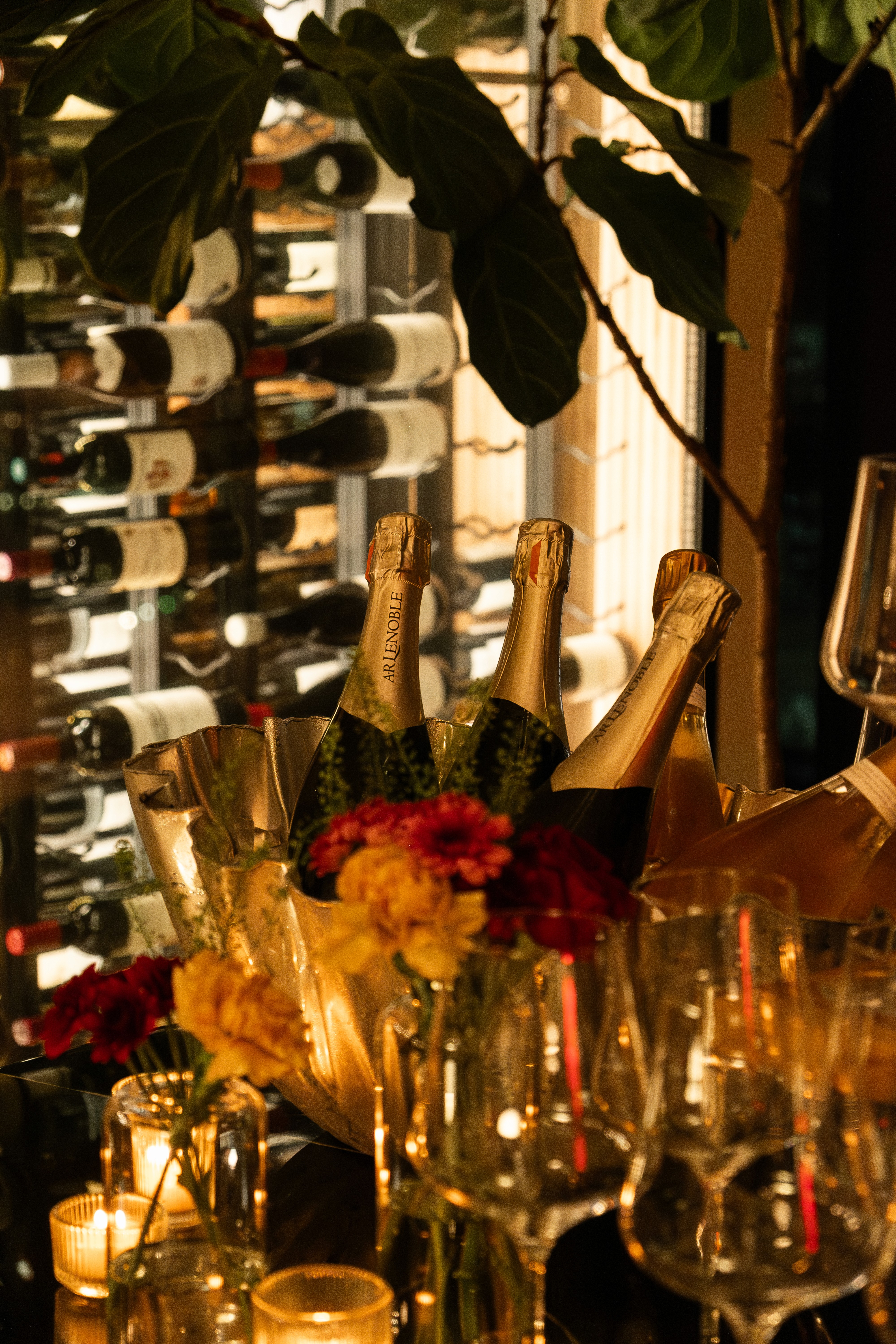 SNOOTI Society champagne cheers