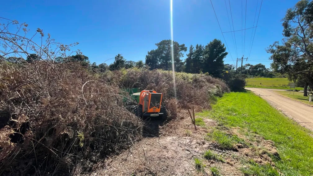 Removing deadwood from steep hillside safely and efficiently