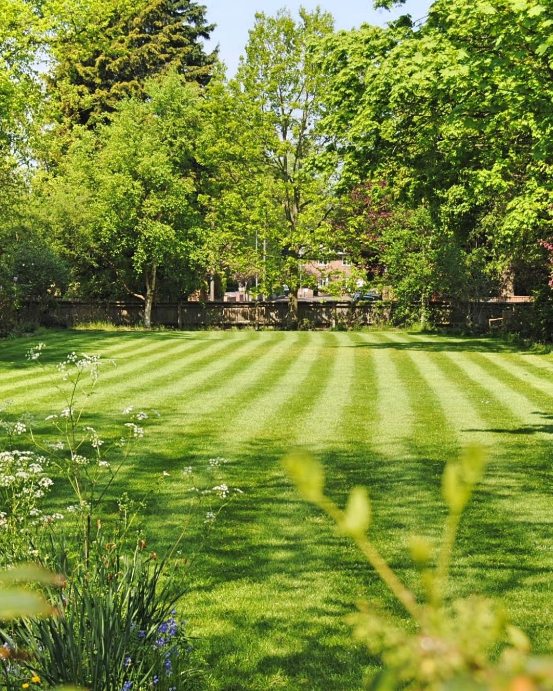 How Can We Help With Residential Lawn Mowing And Edging 