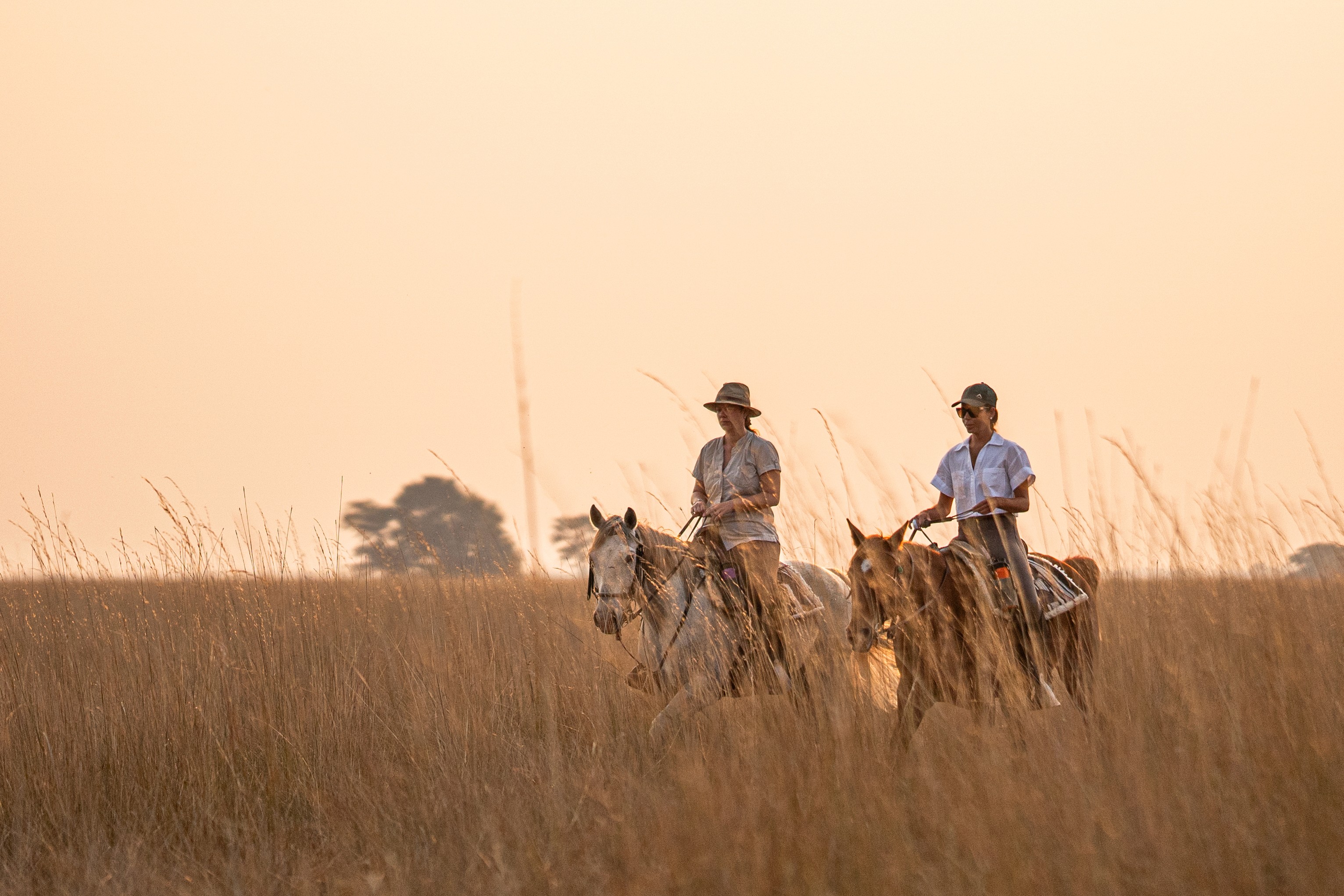 En grupp elefanter passerar framför kameran i Mashatu Game Reserve, Botswana. I bakgrunden betraktar ryttare till häst på ridsafari elefanterna när de passerar genom det afrikanska landskapet. En dag på ridsemester, Tuli Safari, Afrika.