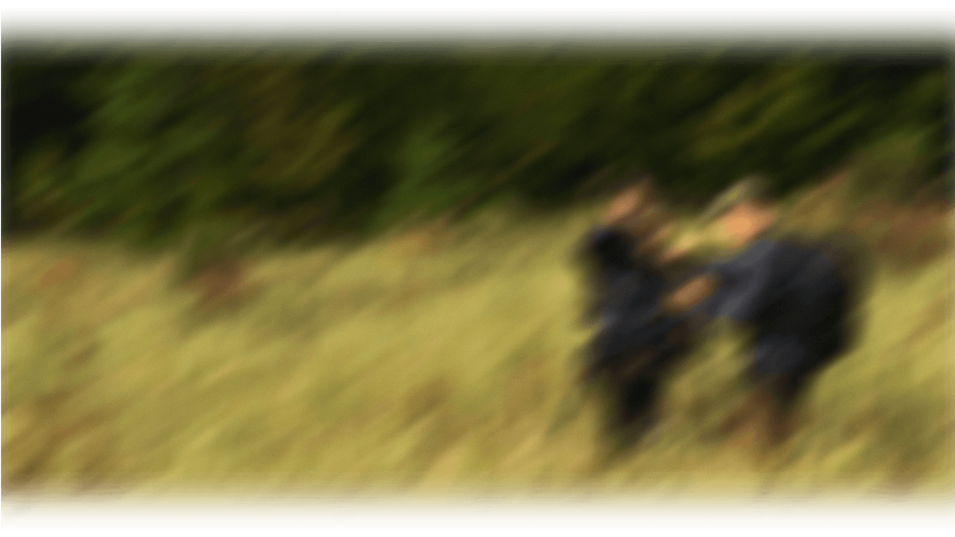 Deux personnes ajustant du matériel audio et vidéo sur un trépied au milieu d’une prairie, entourées d’herbes hautes et d’une forêt dense.