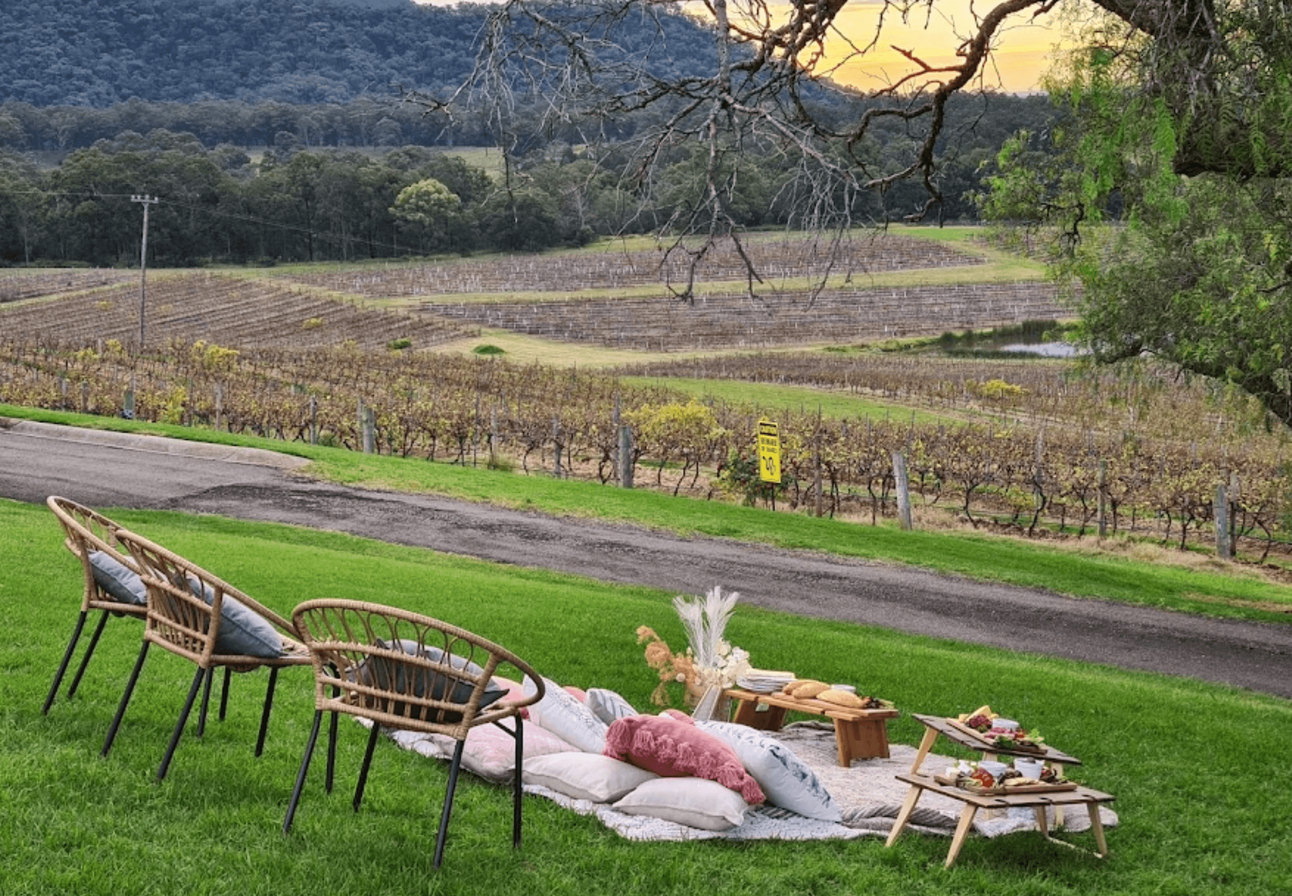 Audrey Wilkinson Winery Hunter Valley