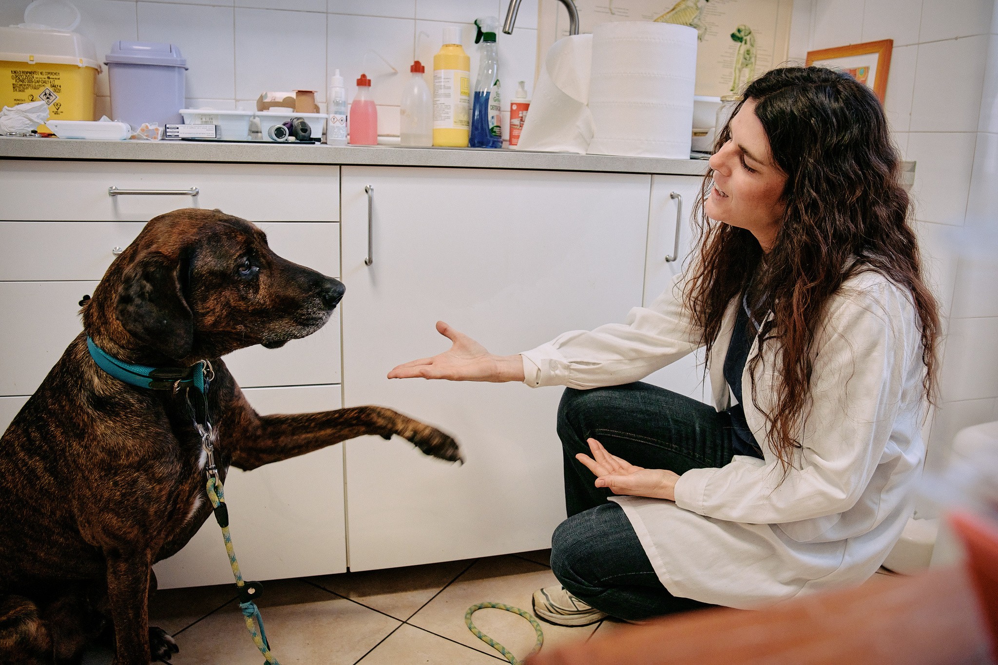 Bellevoire Montmartre