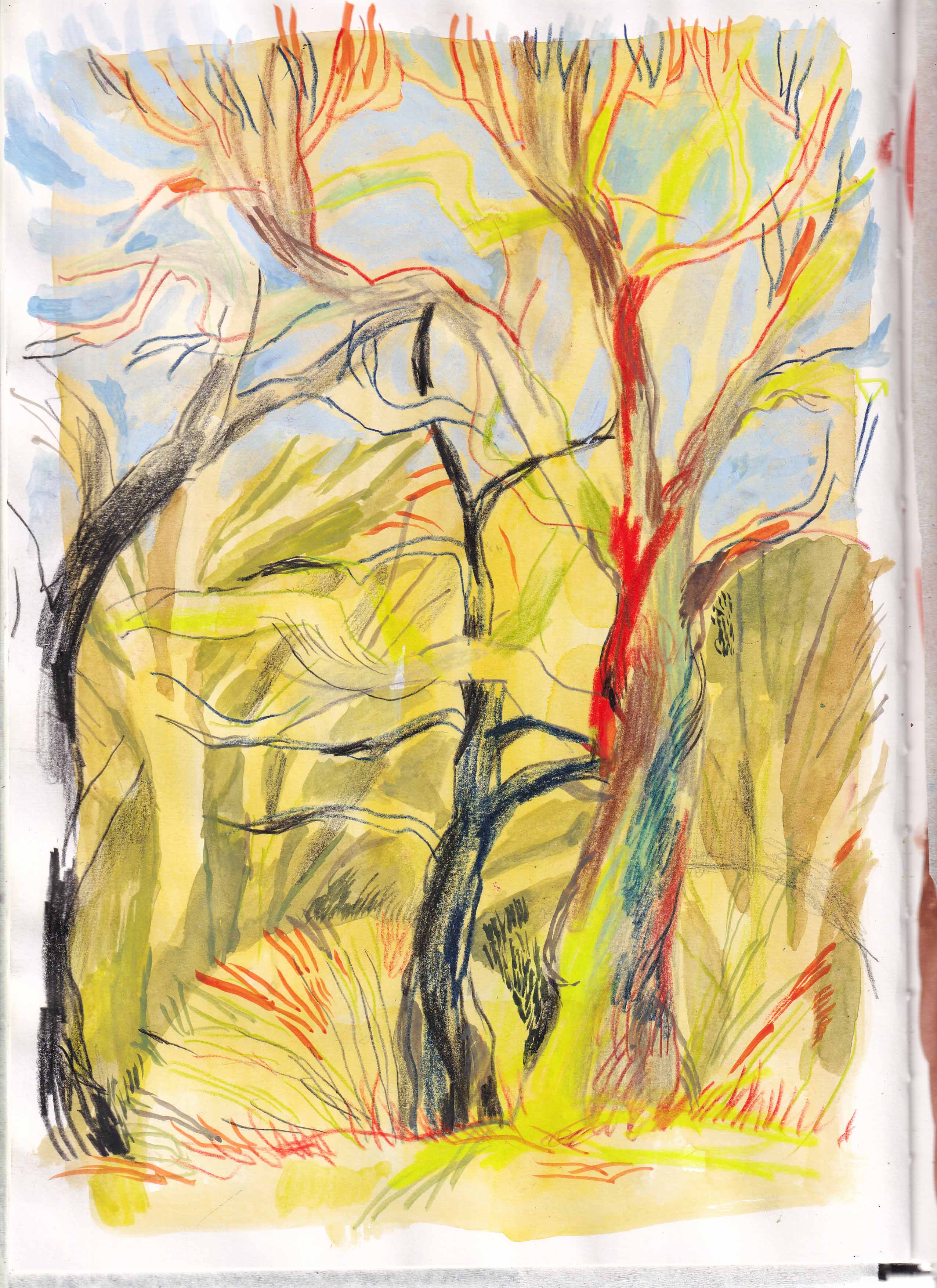 Trees