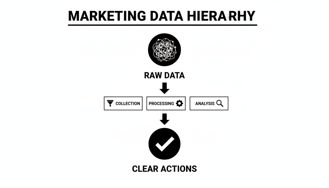 A diagram illustrating the marketing data hierarchy, transforming raw data through processing into clear actions.