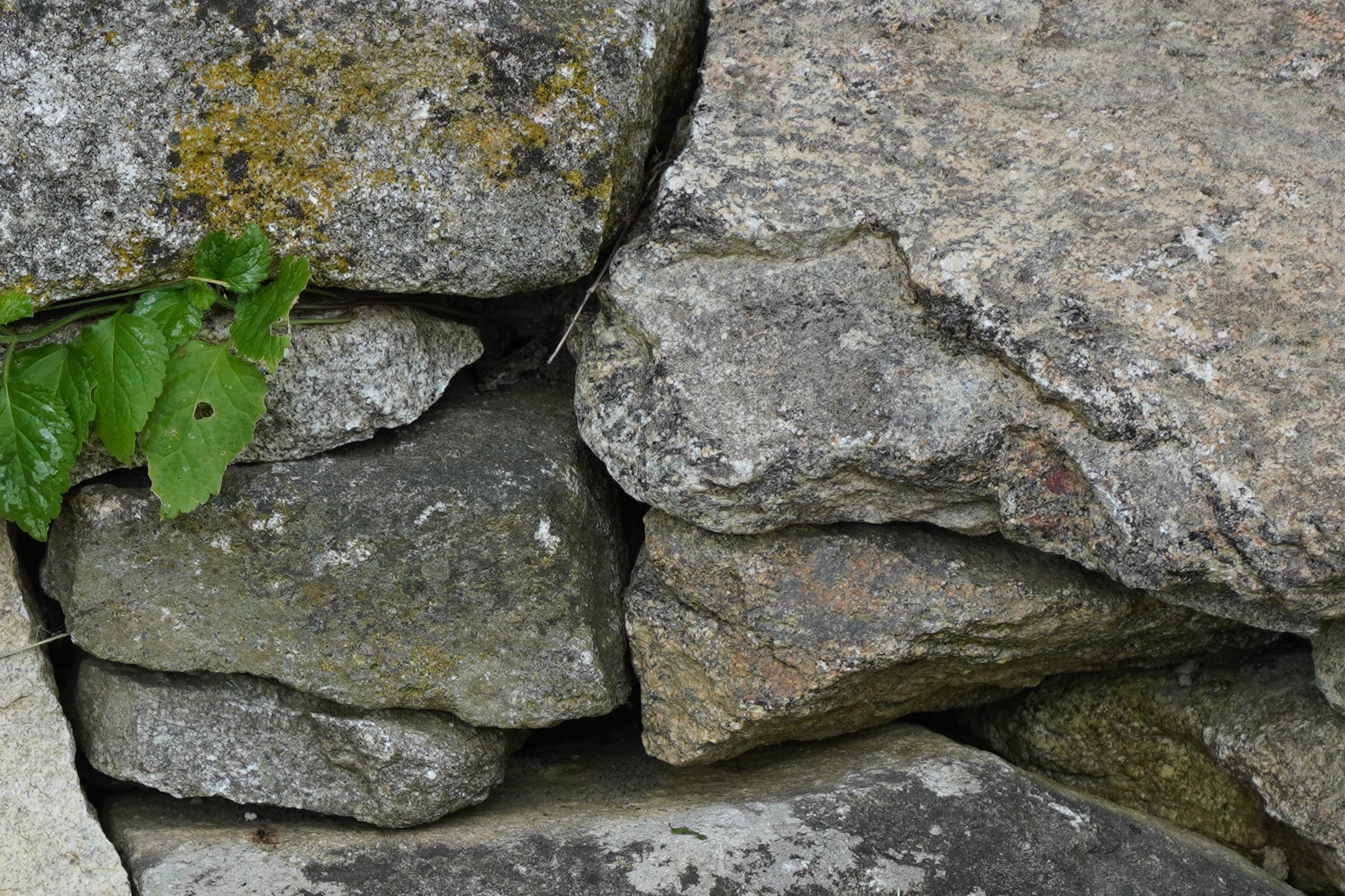 Profilbild Stoßfuge