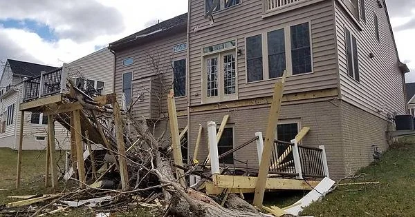 deck damage due to fallen tree