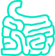 Pancreas