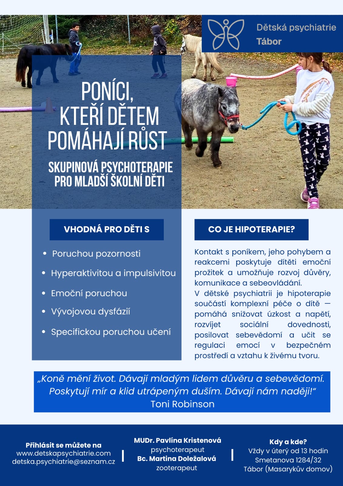 Skupinová hipoterapie s poníky pro mladší školní děti v Táboře – děti při terapeutické práci s poníky na venkovním hřišti. Program Dětské psychiatrie Tábor zaměřený na rozvoj pozornosti, seberegulace, emocí a sociálních dovedností u dětí s ADHD, emočními obtížemi a specifickými poruchami učení.