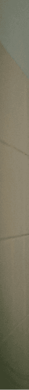 Placeholder Back Image