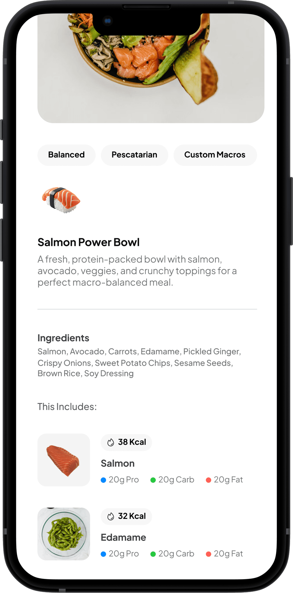screenshot showing chat between client and designer