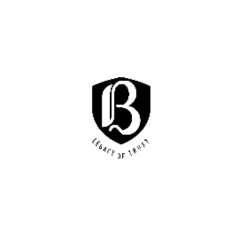Birla Bangalore Developers Real Estate Marketing