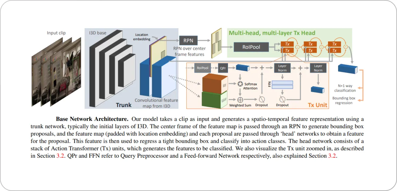 base network architecture