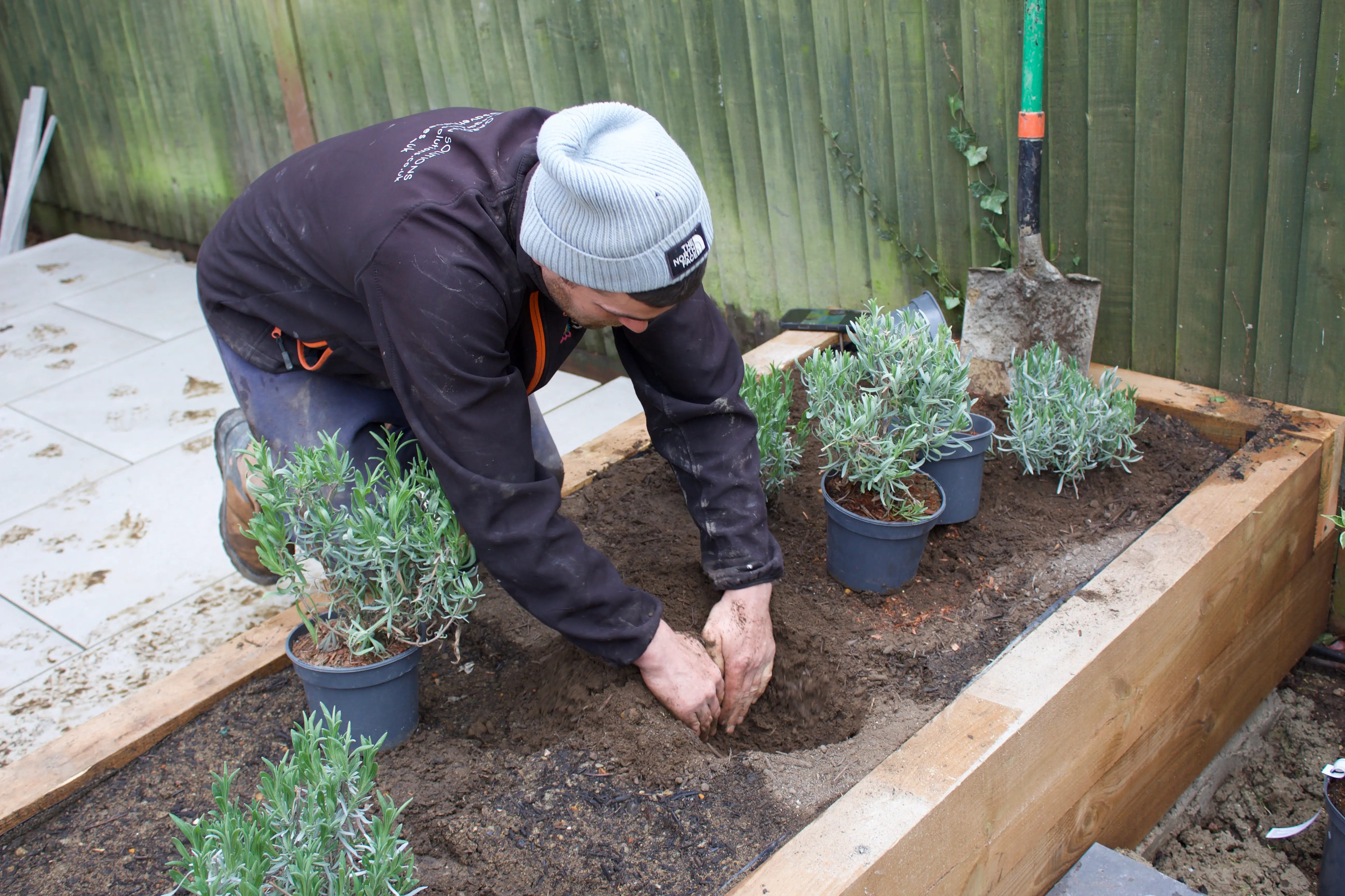 Person planting seeds in a garden bed surrounded by small plants, wearing a beanie and focused on their task.